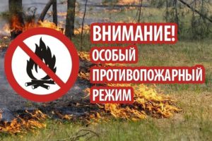 На территории Санкт-Петеррбурга установлен противопожарный режим с 26.04.2021 по 12.07.2021.