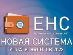 Управление ФНС  России по Санкт-Петербургу разъясняет порядок распределения налогов в условиях применения ЕНС