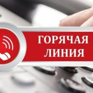 29 сентября 2023 года Прокуратура Приморского района проводит "Горячую линию"